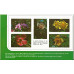 St. Kitts 1981 - Sg 53A - Sg 70A - Birds In Presentation Book set MNH