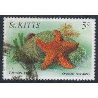 St. Kitts 1984 - Sg143 - Marine Ufe Cushion Starfish used