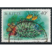 St. Kitts 1984 - Sg149 - Marine life 40c. Pink-tipped anemone used