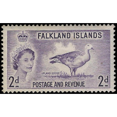 Falkland Islands Sg189 - 1955  2d. - violet MM