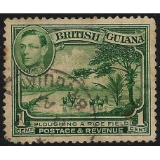 British Guiana Sg308 - 1938 - 1c yellow-green  used