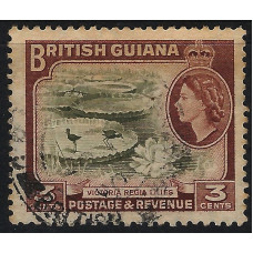 British Guiana Sg333 - 1954 - 3c. brown-olive and red-brown used