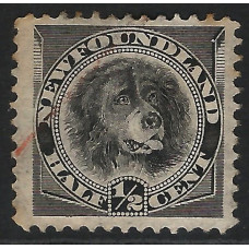 Newfoundland Sg 59 -  ½c. - black 1880 used