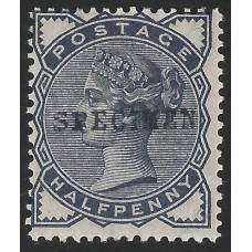 GB Qv - Sg187 -  1/2d. Slate Blue SPECIMEN MNH